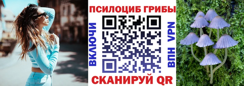 omg как войти  Опочка  Галлюциногенные грибы ЛСД  купить  сайты 