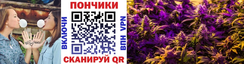 Бошки Шишки гибрид  закладка  Опочка 
